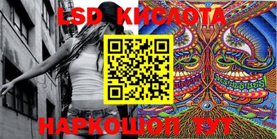 стаф Сланцы