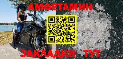 стаф Сланцы