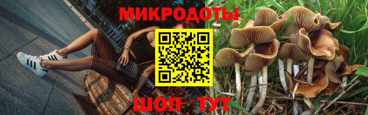 Псилоцибиновые грибы MAGIC MUSHROOMS  Вход с VPN  Псилоцибиновые грибы GOLDEN TEACHER  цена наркотик  Отрадное 